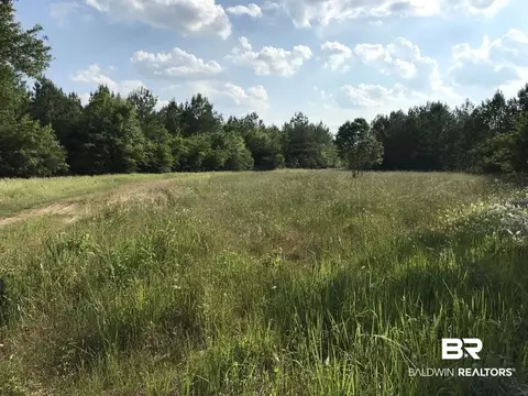 12835 Celeste Rd, Chunchula, AL 36521 photo 1