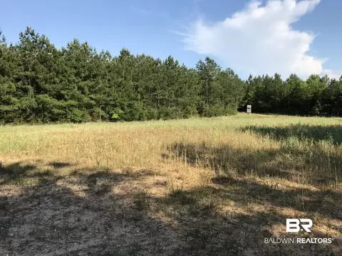 12835 Celeste Rd, Chunchula, AL 36521 photo 9
