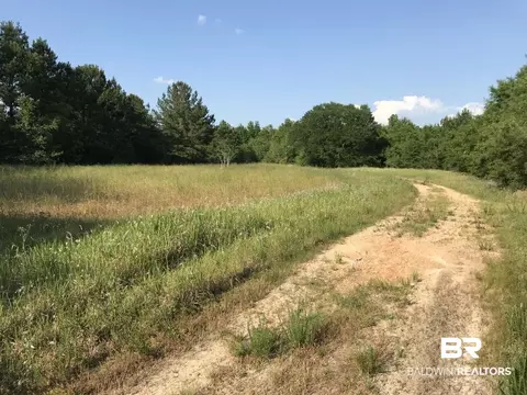 12835 Celeste Rd, Chunchula, AL 36521 photo 3