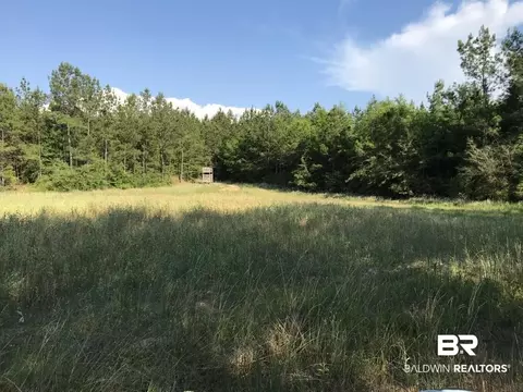 12835 Celeste Rd, Chunchula, AL 36521 photo 6