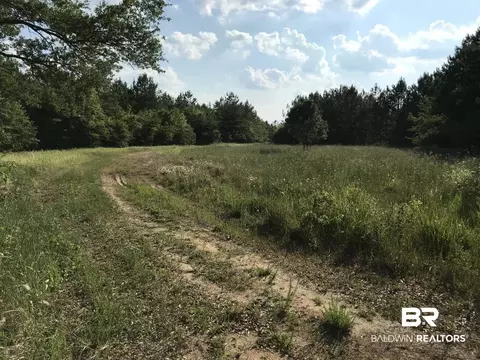 12835 Celeste Rd, Chunchula, AL 36521 photo 8