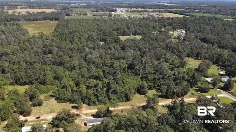 13124 Preserve Ln, Elberta, AL 36530 photo 15