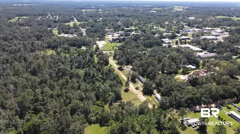 13124 Preserve Ln, Elberta, AL 36530 photo 9