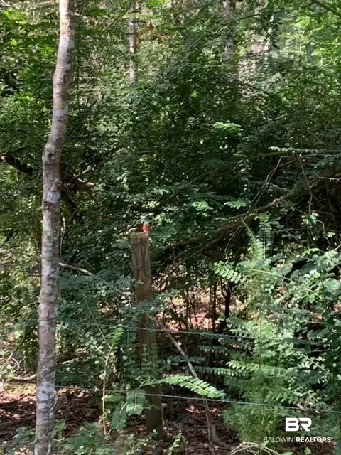 26348 Feely Rd, Elberta, AL 36530 photo 18