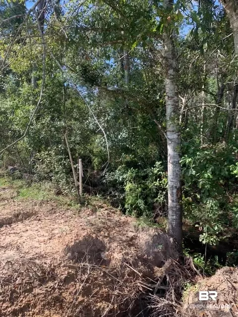 26348 Feely Rd, Elberta, AL 36530 photo 26