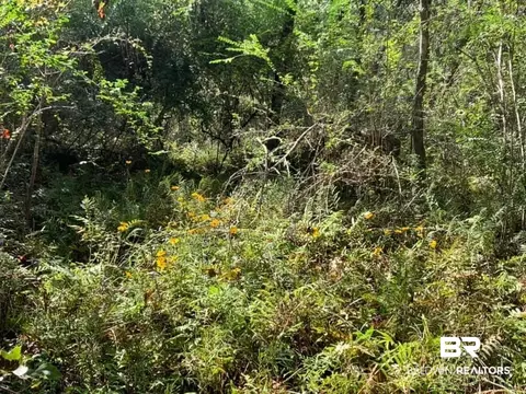 26348 Feely Rd, Elberta, AL 36530 photo 19