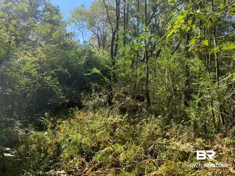 26348 Feely Rd, Elberta, AL 36530 photo 39