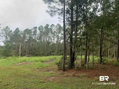 26348 Feely Rd, Elberta, AL 36530 photo 10