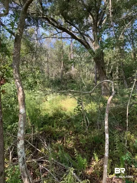 26348 Feely Rd, Elberta, AL 36530 photo 23