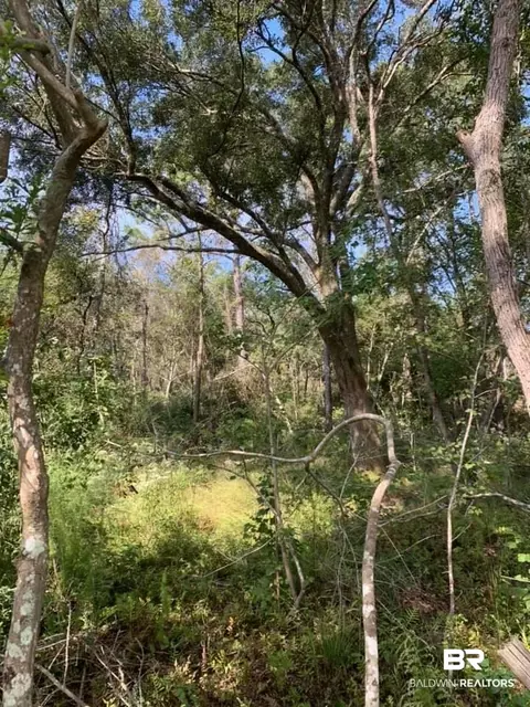 26348 Feely Rd, Elberta, AL 36530 photo 38