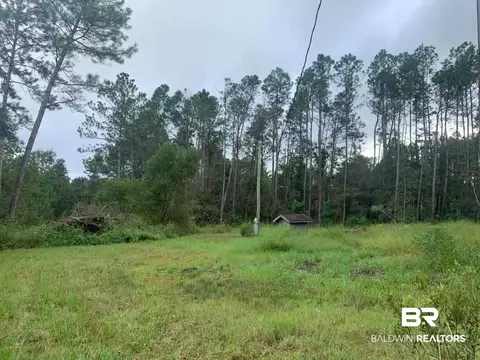 26348 Feely Rd, Elberta, AL 36530 photo 3