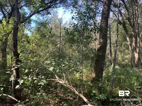 26348 Feely Rd, Elberta, AL 36530 photo 28