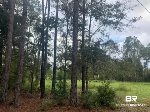 26348 Feely Rd, Elberta, AL 36530 photo 15