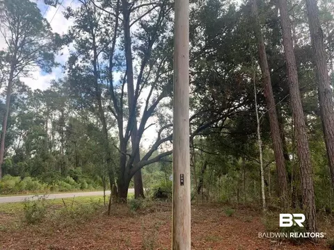 26348 Feely Rd, Elberta, AL 36530 photo 4