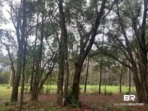 26348 Feely Rd, Elberta, AL 36530 photo 7