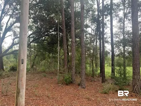 26348 Feely Rd, Elberta, AL 36530 photo 11