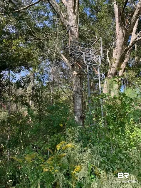 26348 Feely Rd, Elberta, AL 36530 photo 21