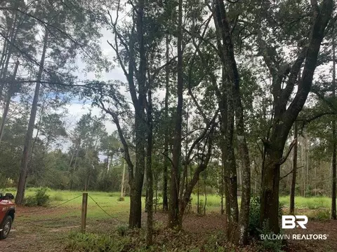 26348 Feely Rd, Elberta, AL 36530 photo 8