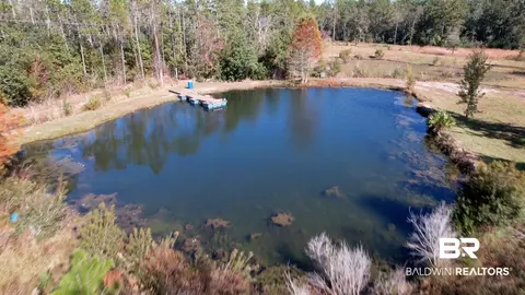 3350 Harmon Williams Rd, Mobile, AL 36608 photo 44