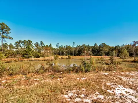 3350 Harmon Williams Rd, Mobile, AL 36608 photo 39