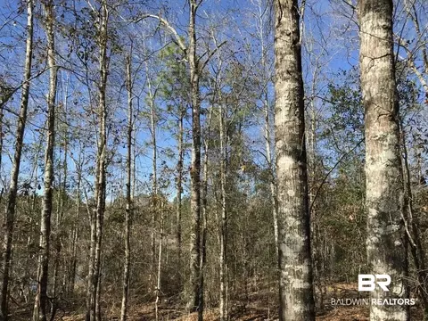 0 Private Rd, Chunchula, AL 36521 photo 26