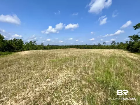 0 Private Rd, Chunchula, AL 36521 photo 14
