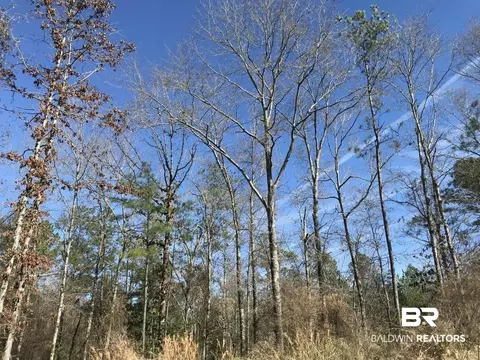 0 Private Rd, Chunchula, AL 36521 photo 2