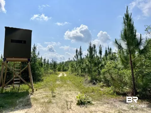 0 Private Rd, Chunchula, AL 36521