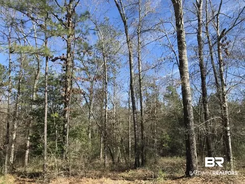 0 Private Rd, Chunchula, AL 36521 photo 17