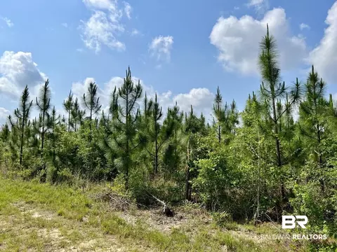 0 Private Rd, Chunchula, AL 36521 photo 8