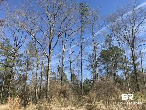 0 Private Rd, Chunchula, AL 36521 photo 9