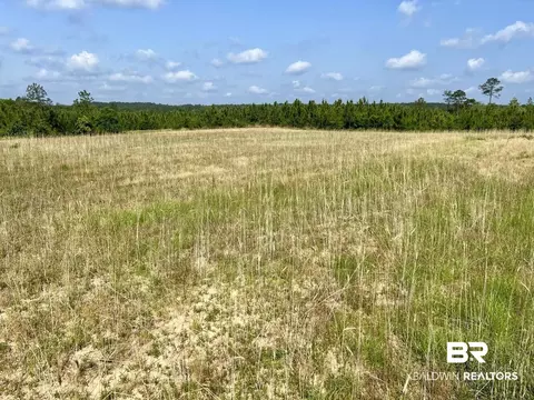0 Private Rd, Chunchula, AL 36521 photo 11
