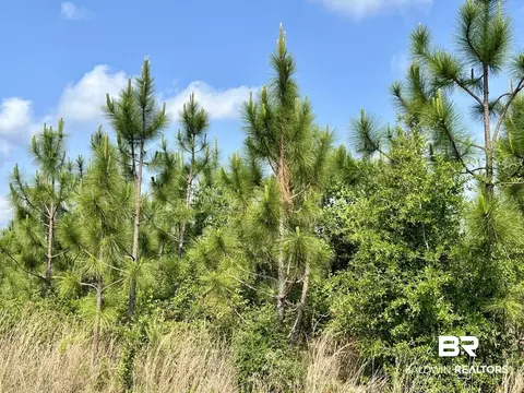 0 Private Rd, Chunchula, AL 36521 photo 19