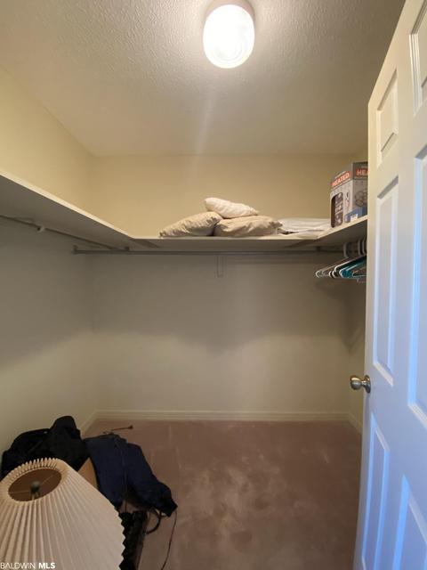 5650 Pine Forest Rd, Mcdavid, FL 32568 photo 24