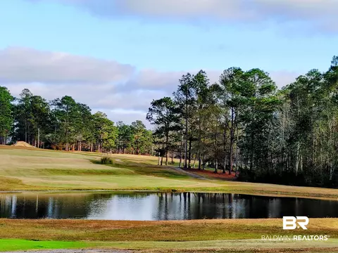 125 White Tail Run, Chatom, AL 36518 photo 46