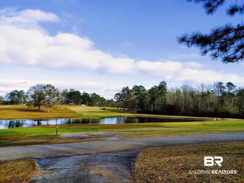 125 White Tail Run, Chatom, AL 36518 photo 47