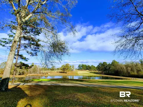 125 White Tail Run, Chatom, AL 36518 photo 48