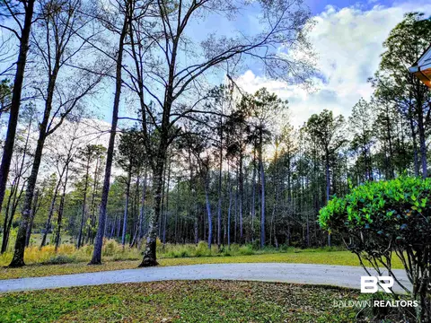125 White Tail Run, Chatom, AL 36518 photo 49