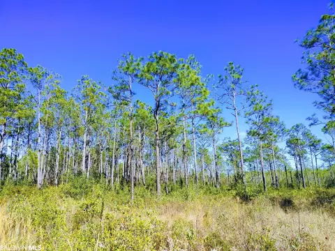 0 County Road 4, Gulf Shores, AL 36542