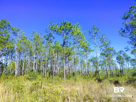 0 County Road 4, Gulf Shores, AL 36542
