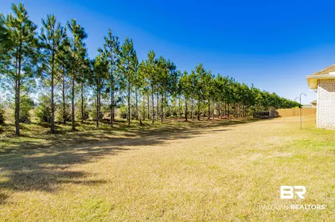 10172 Dunleith Loop, Daphne, AL 36526 photo 19
