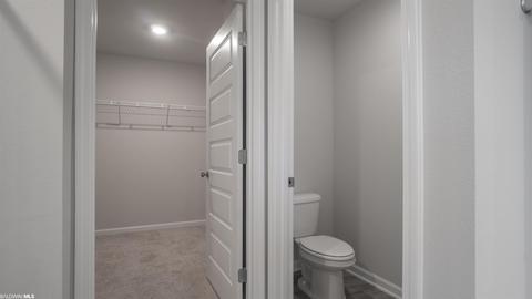 8123 Irwin Loop, Daphne, AL 36526 photo 17