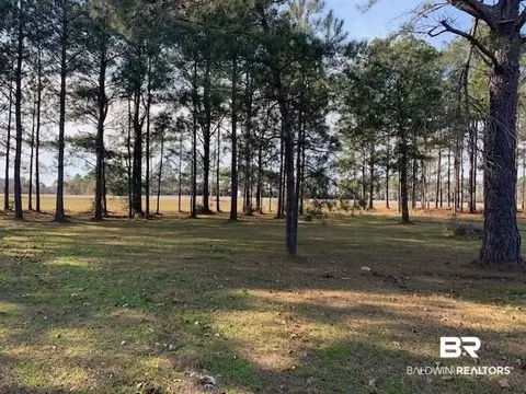 5160 Highway 97, Mcdavid, FL 32568 photo 26