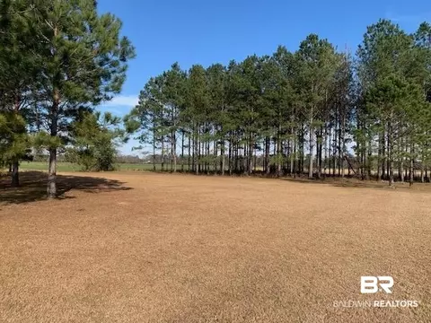 5160 Highway 97, Mcdavid, FL 32568 photo 29