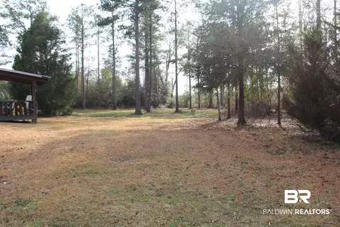 1485 Ramah Rd, Peterman, AL 36471 photo 7