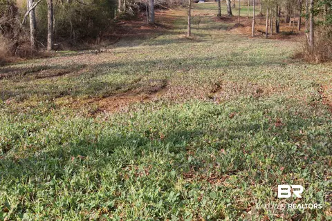 1485 Ramah Rd, Peterman, AL 36471 photo 8