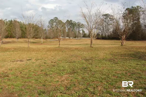 1485 Ramah Rd, Peterman, AL 36471 photo 3