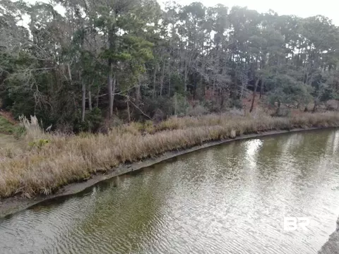 Riverview Nursery Road, Theodore, AL 36582