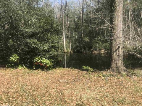 425 E Byron Ave, Mobile, AL 36609 photo 2