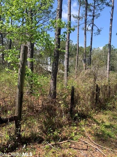 26264 Feely Rd, Elberta, AL 36530 photo 14